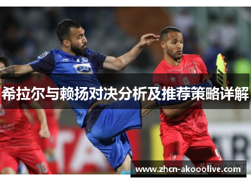 希拉尔与赖扬对决分析及推荐策略详解